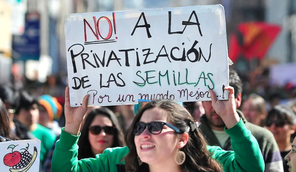 UPOV 91: el régimen que busca cobrar regalías por el uso propio de semillas en Argentina